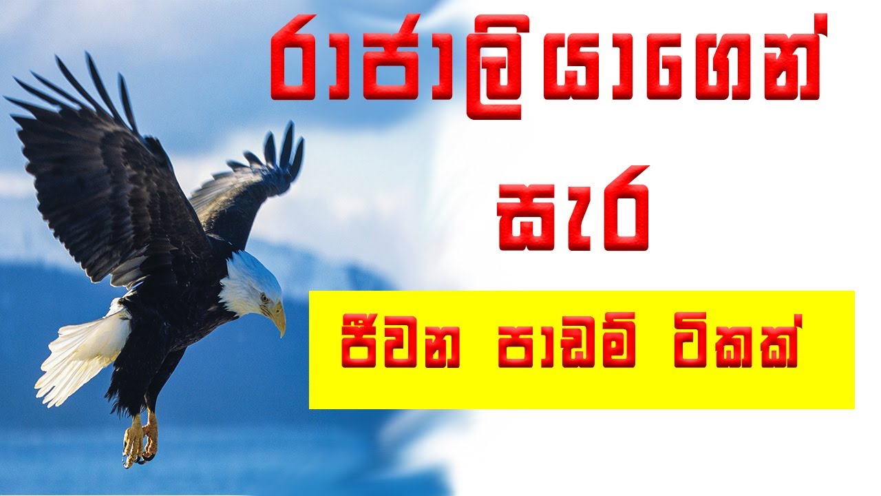 Life Lessons that the Eagle teaches us  | Sinhala Inspirational Video  | Sinhala Motivation