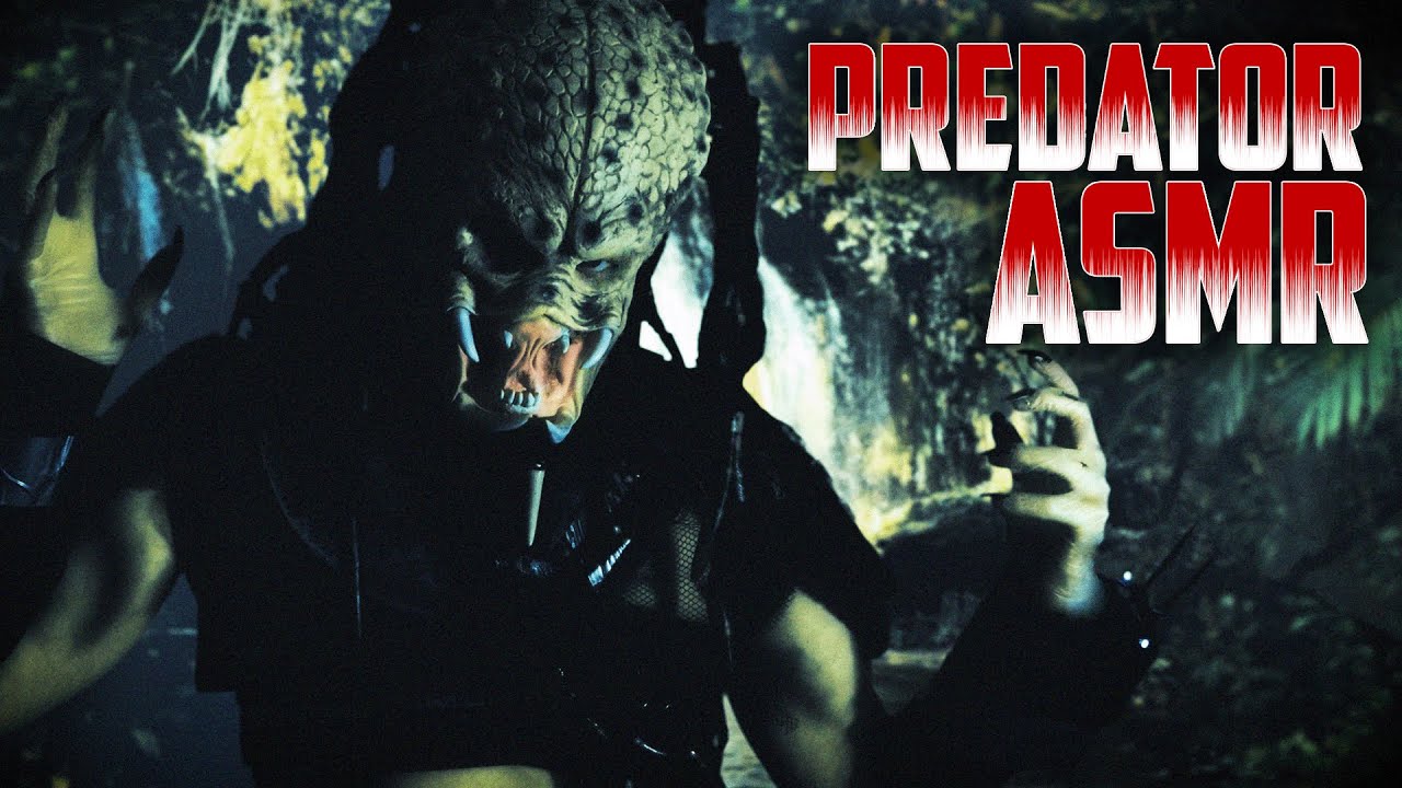 Predator ASMR Roleplay | Healing You for the Hunt (No Talking)
