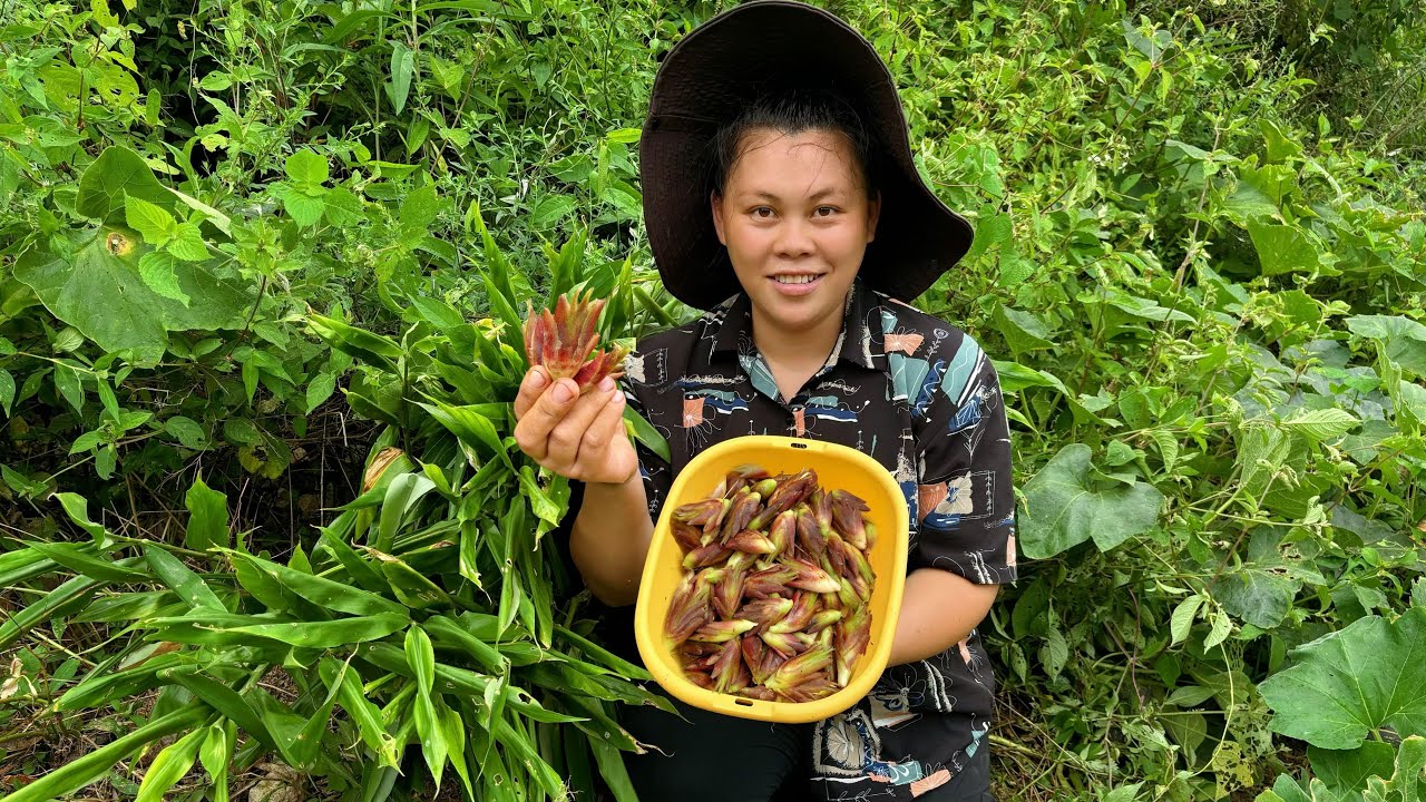 今天摘了些洋荷，配着肉和辣椒一起炒太好吃了 Pick some wild vegetables to eat today