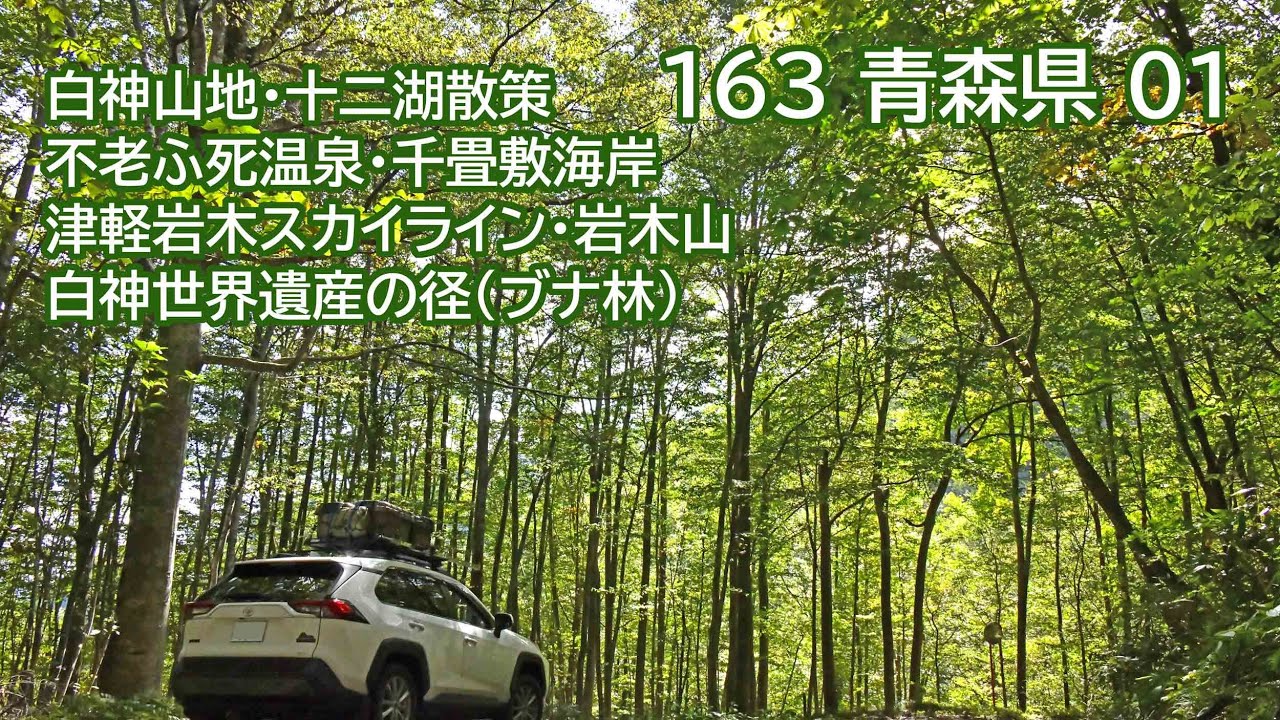 おじ丸の車中泊旅の記憶 163 青森県01(2025 9.10.11) 白神山地・十二湖散策・不老ふ死温泉・千畳敷海岸・津軽岩木スカイライン・岩木山・白神世界遺産の径（ブナ林）