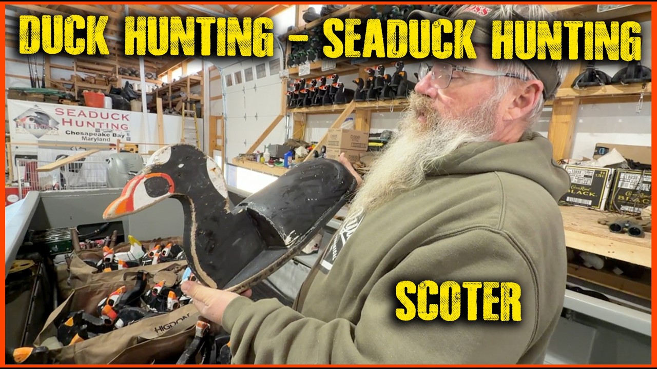 DECOYS: Duck Hunting - Seaduck Hunting - Sea Duck Hunting