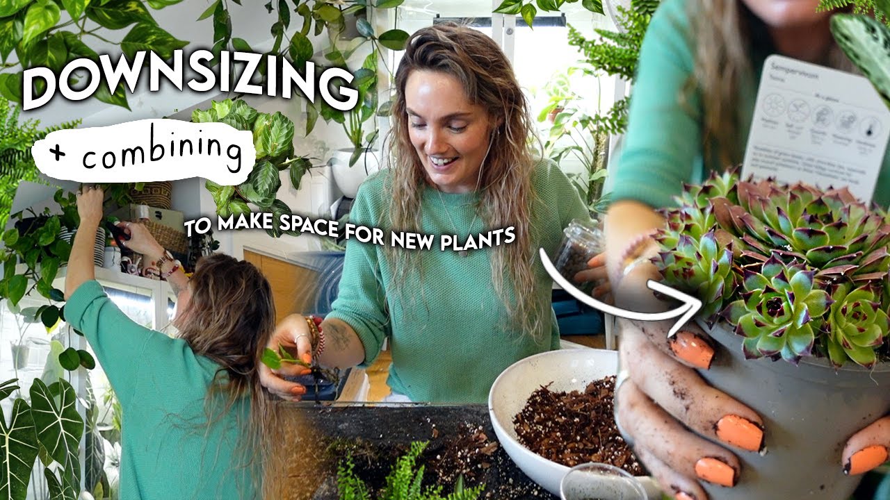 Getting Rid of Plants + Combining (to make space for new plants) 😏