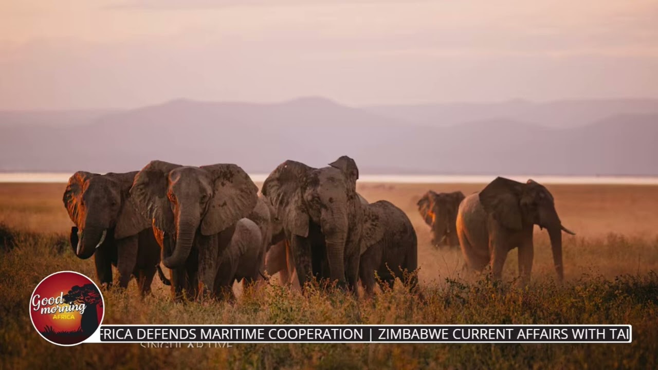 Human-Wildlife Conflict In Zimbabwe Caused 62 Deaths and 81 Injuries in 2025 - Talent Gore