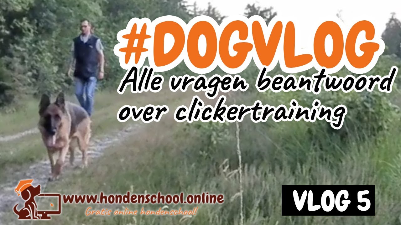 #dogvlog 5 - Alle vragen over clickertraining beantwoord
