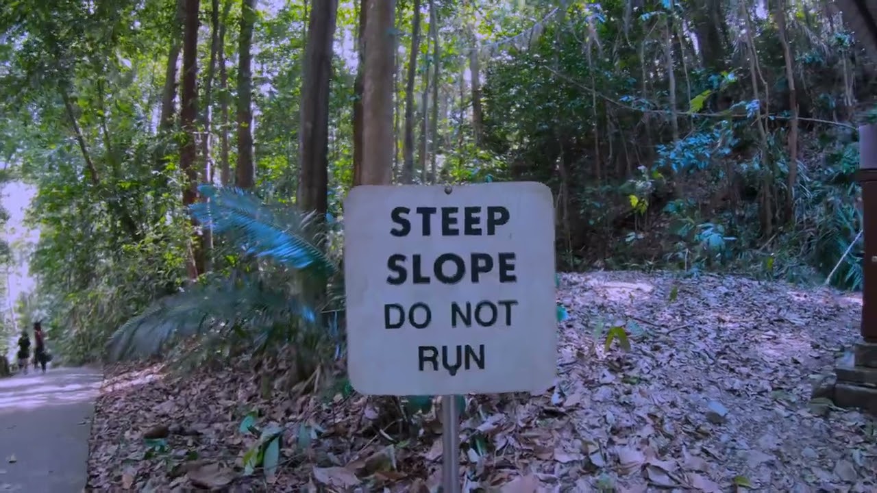 Bukit Timah Nature Reserve The Summit Final Part