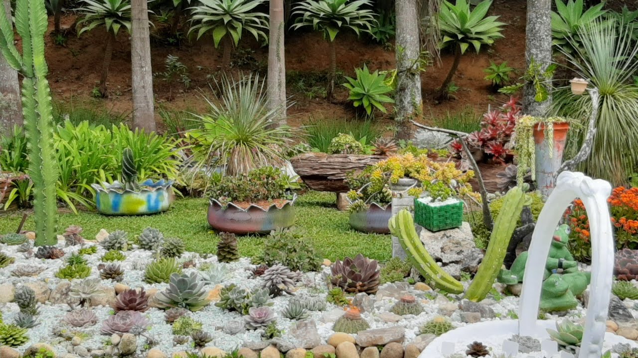 O mais lindo jardim de suculentas