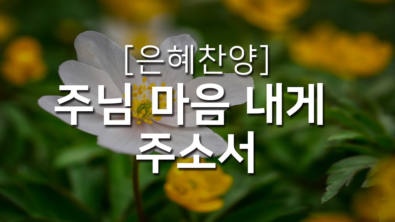 [복음성가연속듣기] 주님 마음 내게 주소서_하루찬양( 복음성가, 은혜찬양연속듣기 )