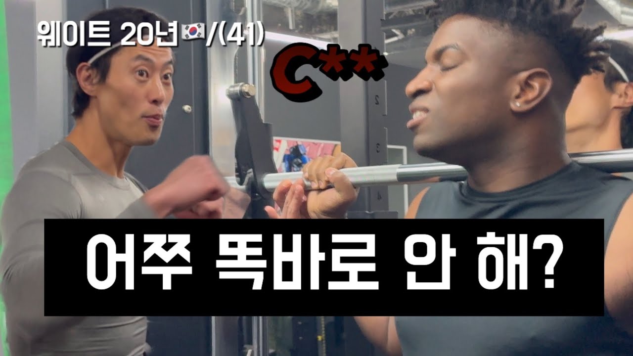 아이보의 테토남 도전기