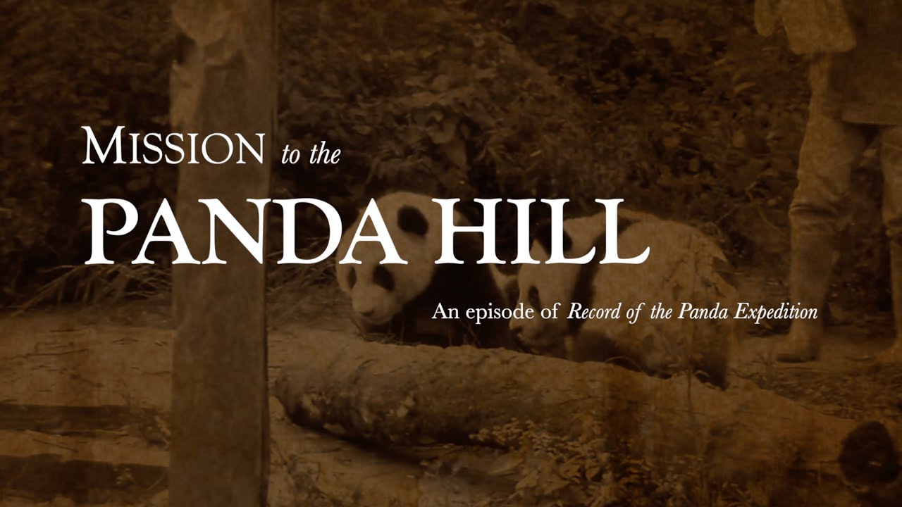 Mission to the Panda Hill | Teaser Trailer
