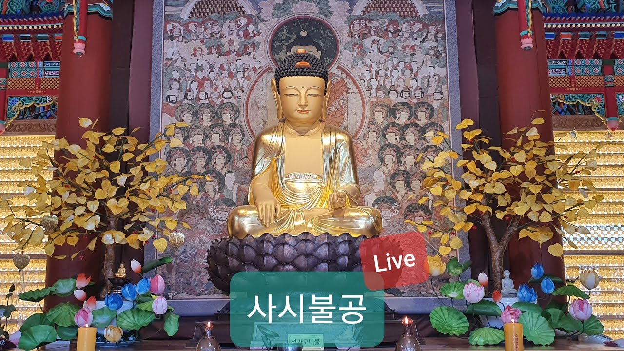[진리의 실천도량 달마사]  1월 25일 사시불공