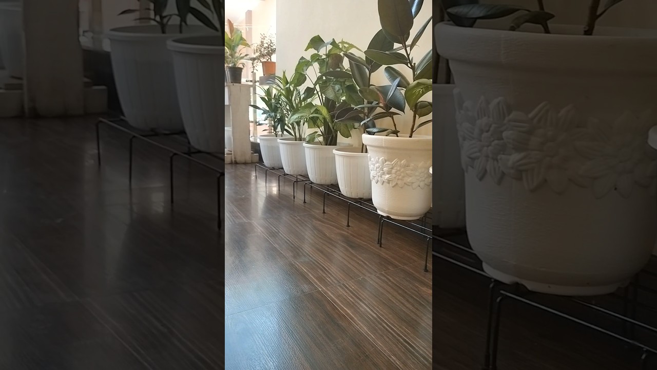 Unboxing planter stand #shorts #shortsfeed #planter #flipkart #gardenaccessories