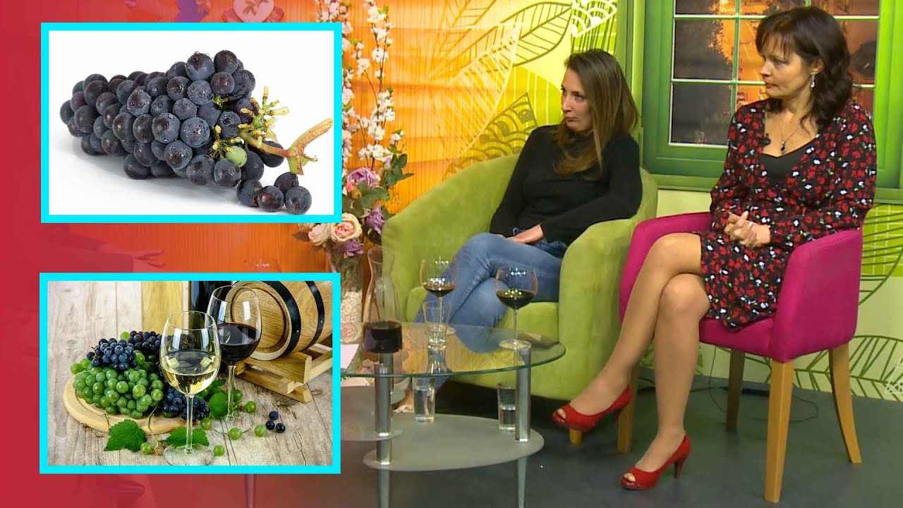 Lepeza zdravlja i lepote: Kako postati stručnjak za vina? EP41:S01 (28-02-2019)