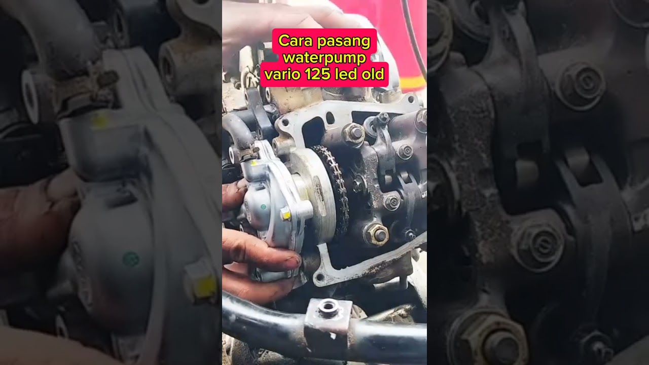 Cara pasang waterpump #vario125  #viralvideo #bengkel #tutorial