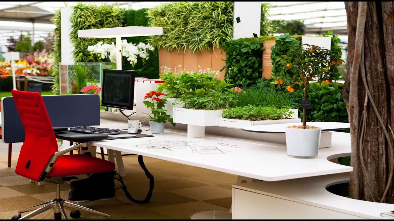 СВЕЖЕСТЬ! СОВРЕМЕННЫЕ САДОВОДЧЕСКИЕ ДИЗАЙНЫ | ПРОСТОЕ РУКОВОДСТВО ПО РАЗВИТИЮ ДОМАШНЕГО САДА И ИД...