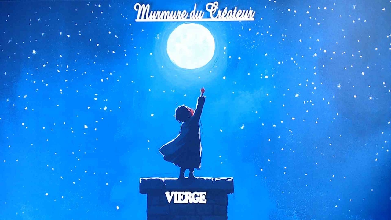 🎀VIERGE🎀QU'EST-CE QUE JE FUIS ? TIRAGE COMPLET.