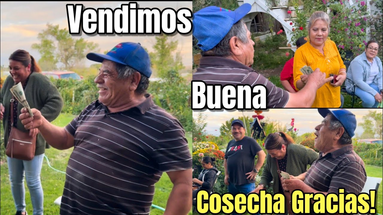 Increíble Lo Que Ganamos Con La Venta De Chiles, Melones Y Tomatillo!