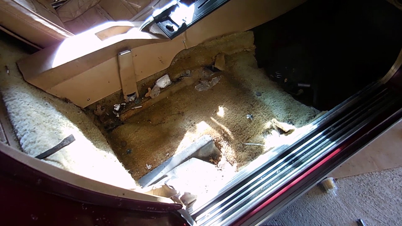 1977 Corvette Barn Find Rescue Video 6 of 11