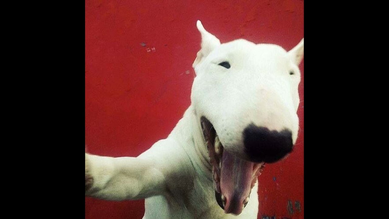 free osamason + nettspend + wegonebeok + osamason type beat - 