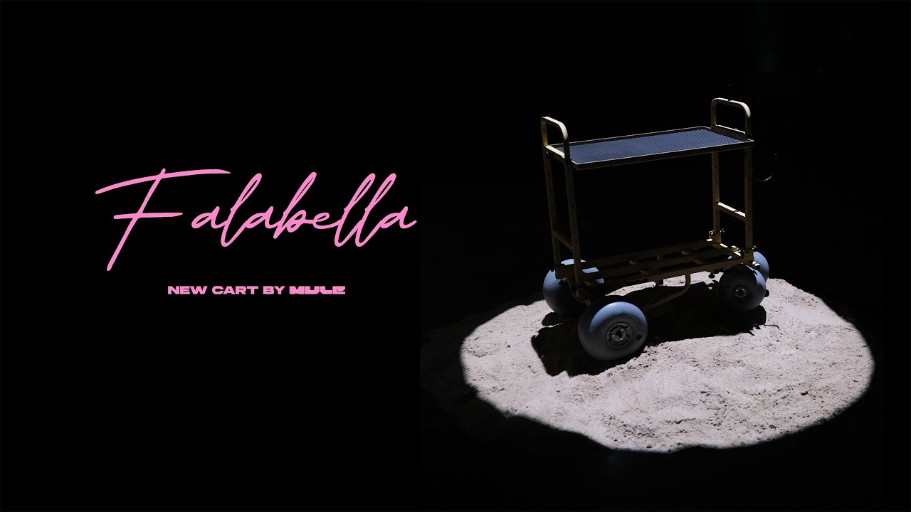 Ukrainian Falabella cart by Mule carts
