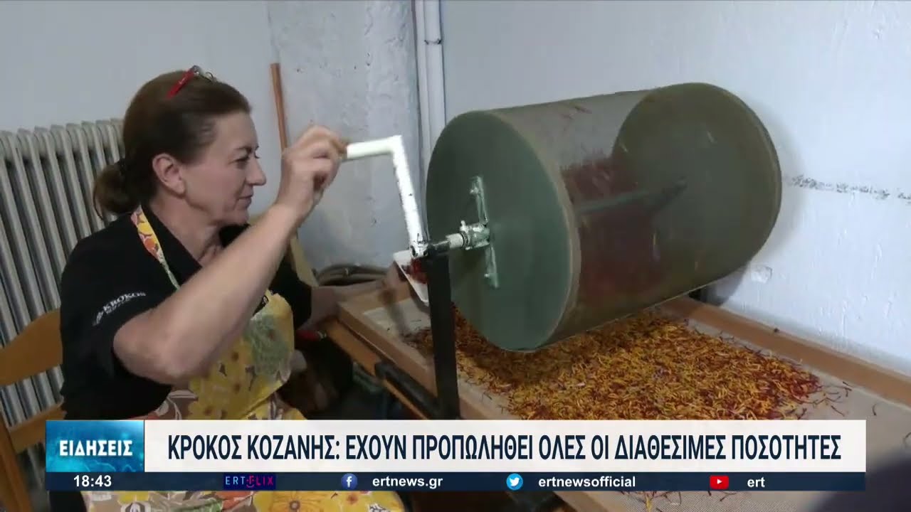 Ξεκίνησε η συγκομιδή του κρόκου Κοζάνης | 20/10/2022 | ΕΡΤ