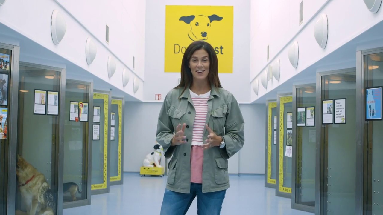 Dogs Trust - Children and Your Dog