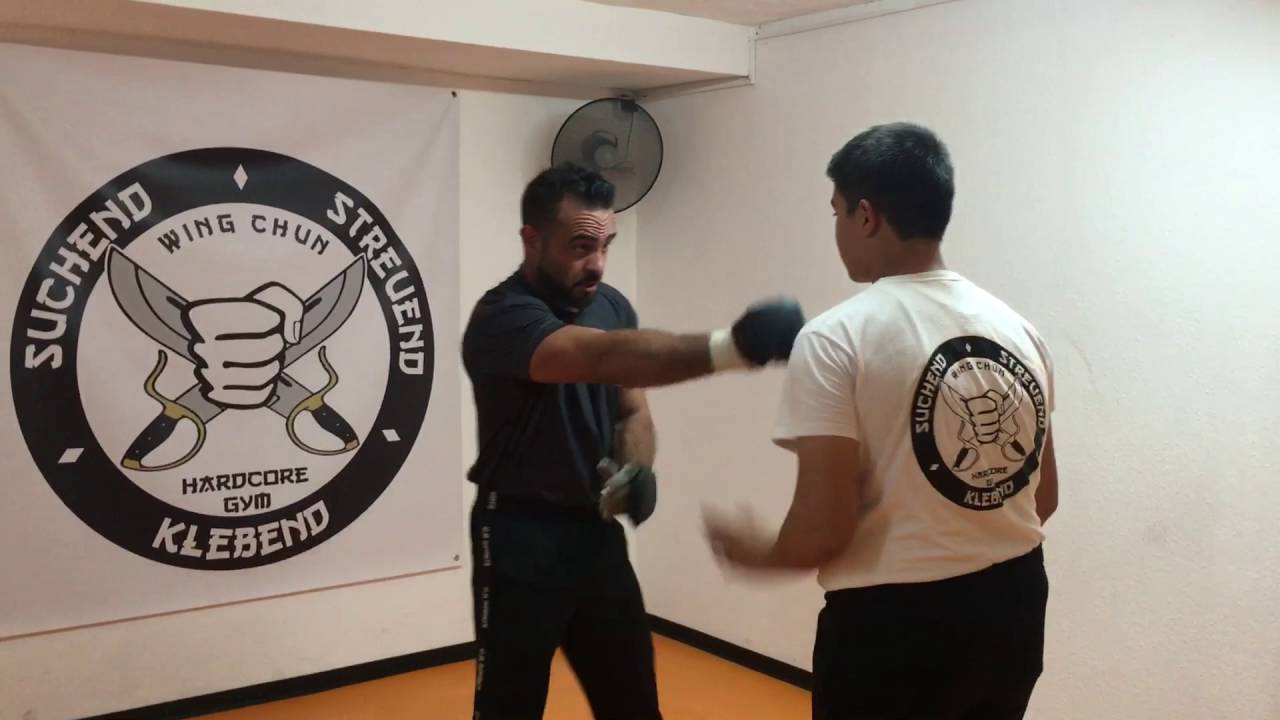 Ip Man Wing Chun Freestyle Combat