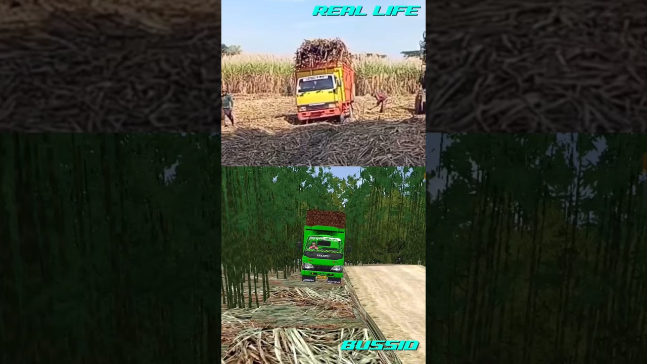 BUSSID VS REAL LIFE #bussid #bussimulatorindonesia #trukoleng