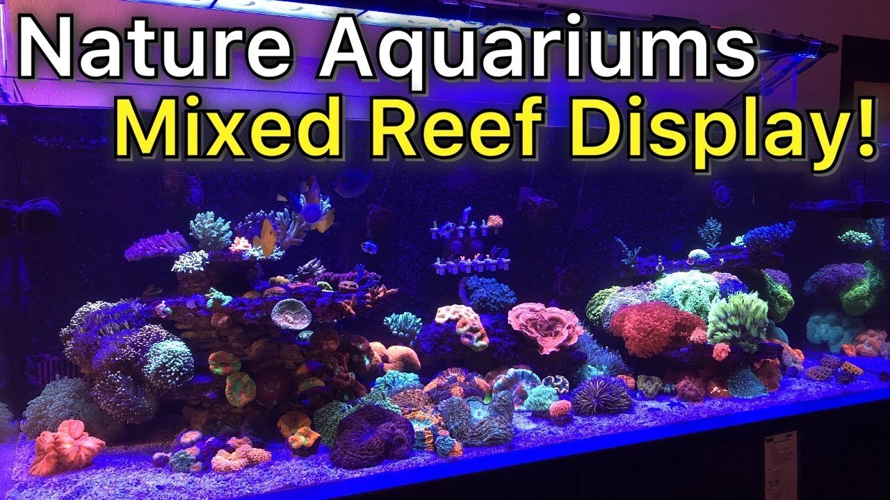 Part 1 - Nature Aquariums Incredible Mixed Reef display - Cade 1800 Pro Reef Series 2!!