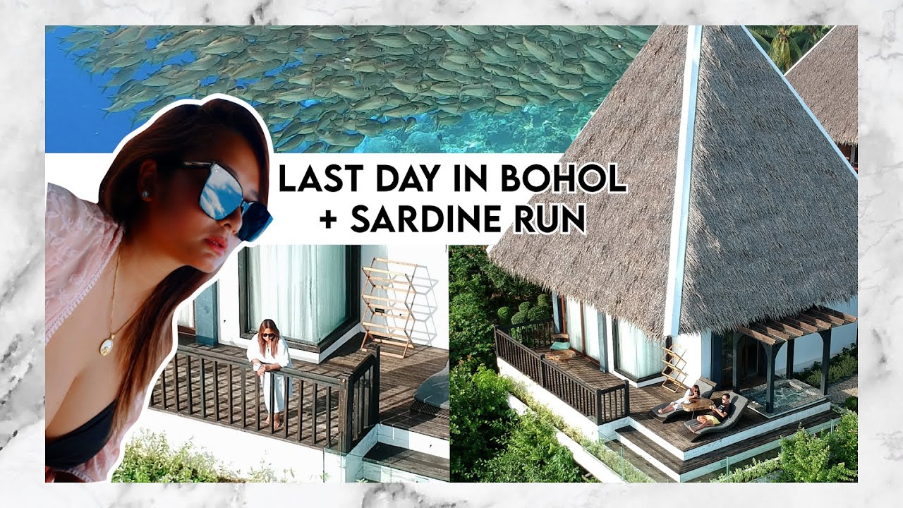 AMAZING BOHOL (SARDINE RUN) | Ehra Madrigal