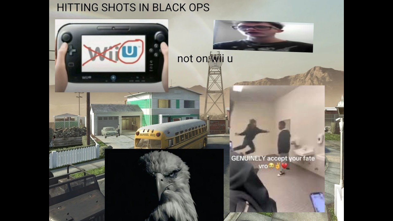 genuinely accept your fate you fricking bots (playing black ops, NOT the wii black ops on the wii U)