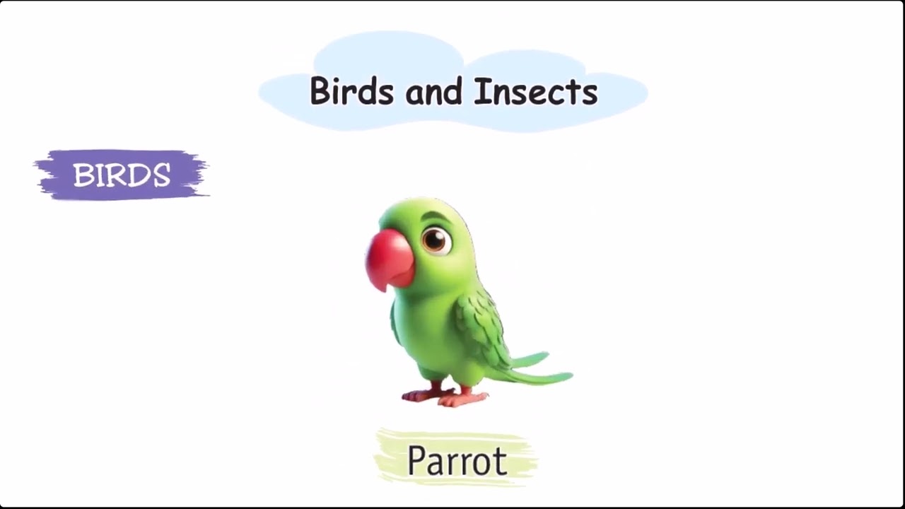 General Awareness and Picture Book C