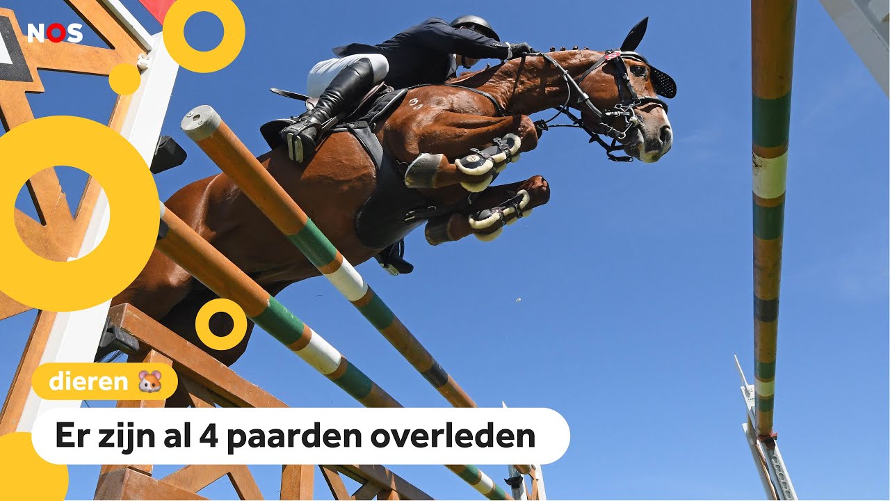 Paniek in paardenwereld vanwege gevaarlijk virus