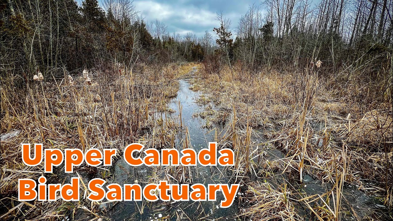 Upper Canada Migratory Bird Sanctuary - Hiking in Ingleside, Ontario