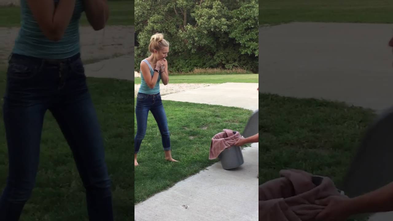 Teacup Puppy Birthday Surprise~Priceless Reaction