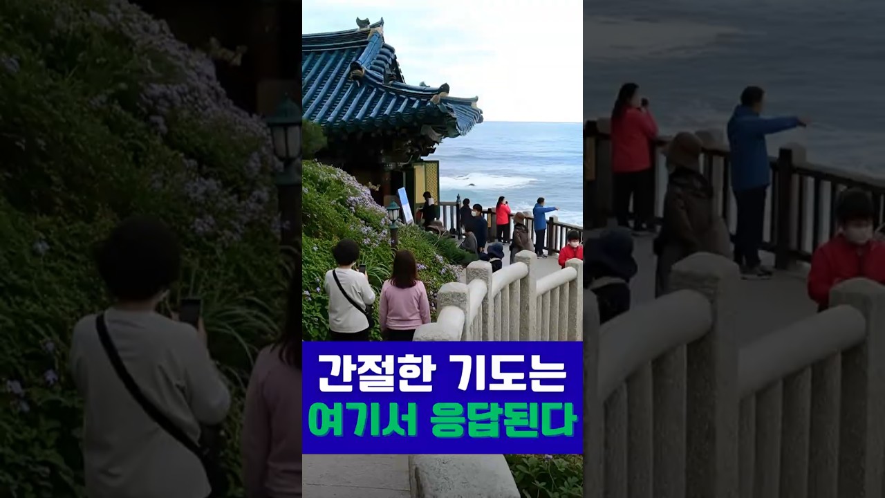 홍련암에서 소원을 빌면 생기는 변화! #낙산사 #홍련암 #잼공스토리
