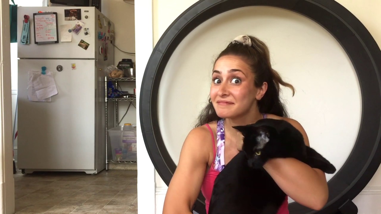 My cat tries the One Fast Cat exercise wheel