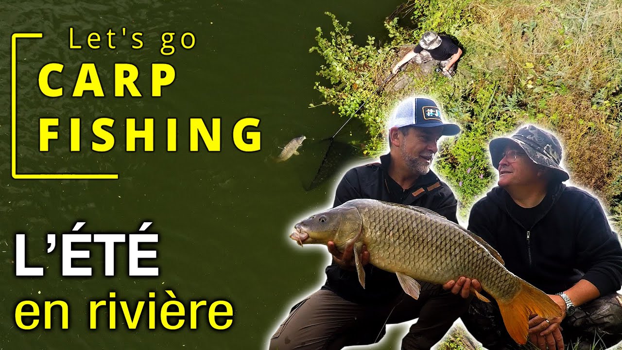 Pêche de la carpe en été en rivière canalisée - Let's Go Carp Fishing