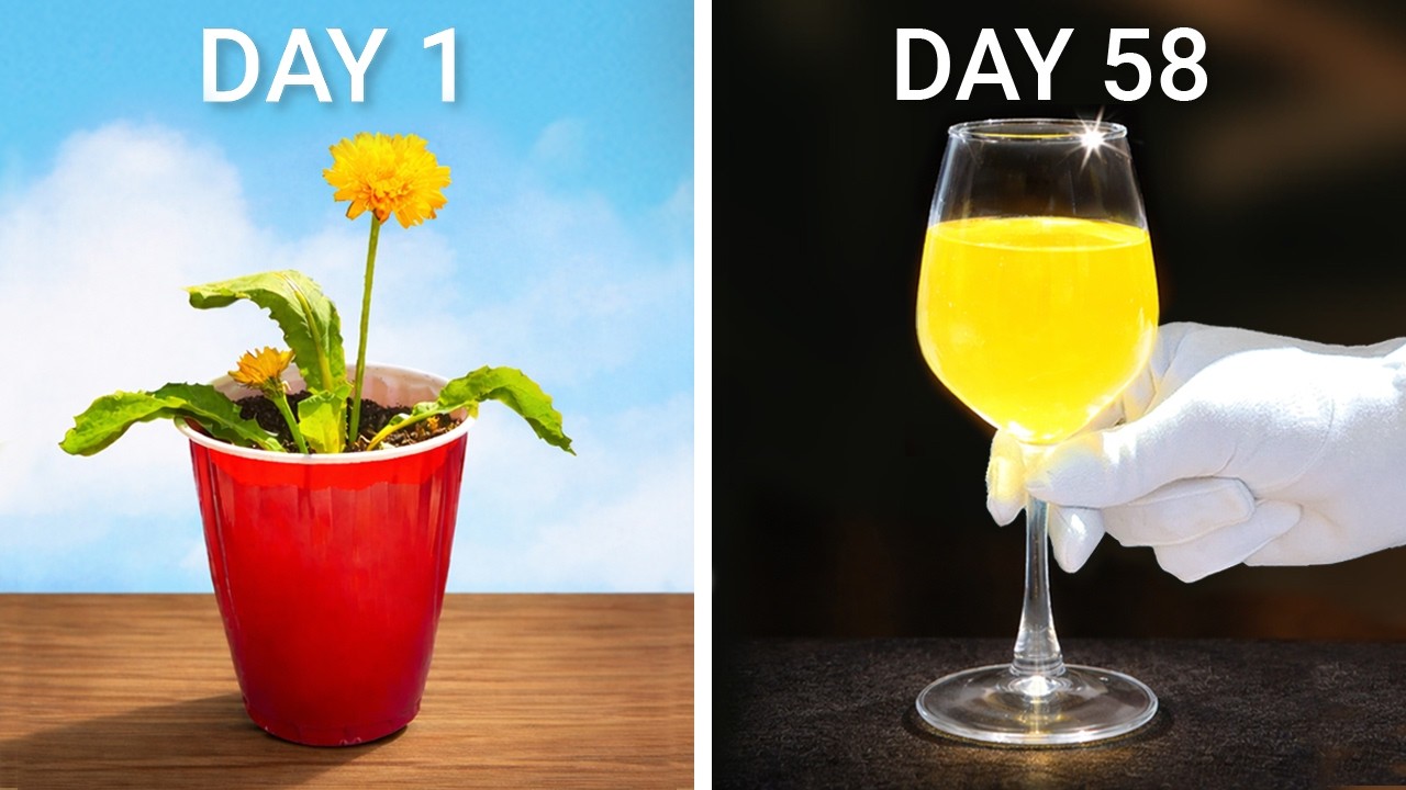 I Made Wine from This Backyard Plant