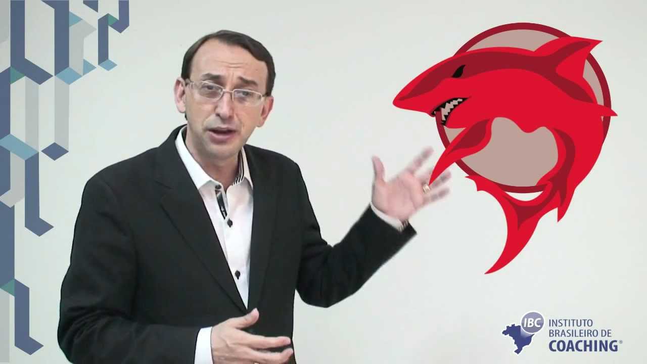IBC Coaching - Perfil Comportamental - Tubarão