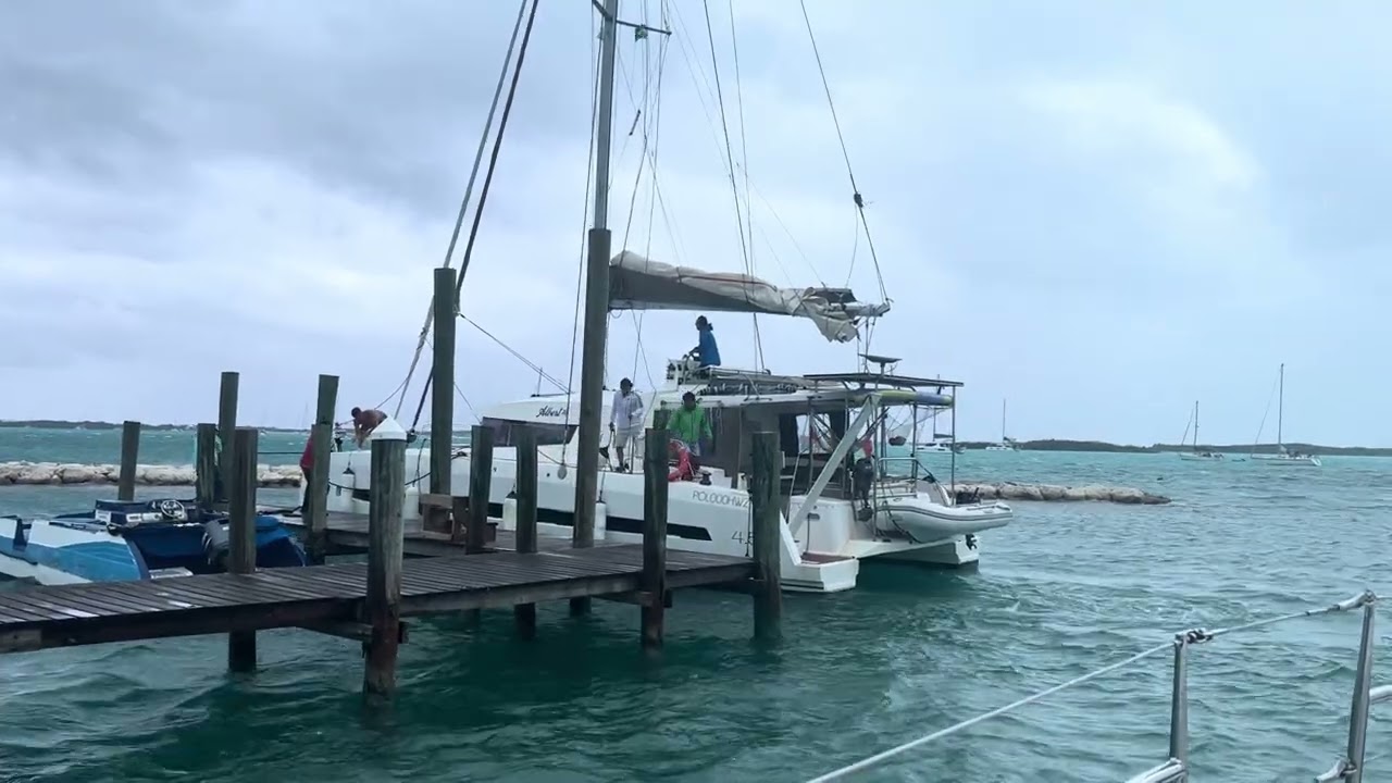My perspective of Cat coming in