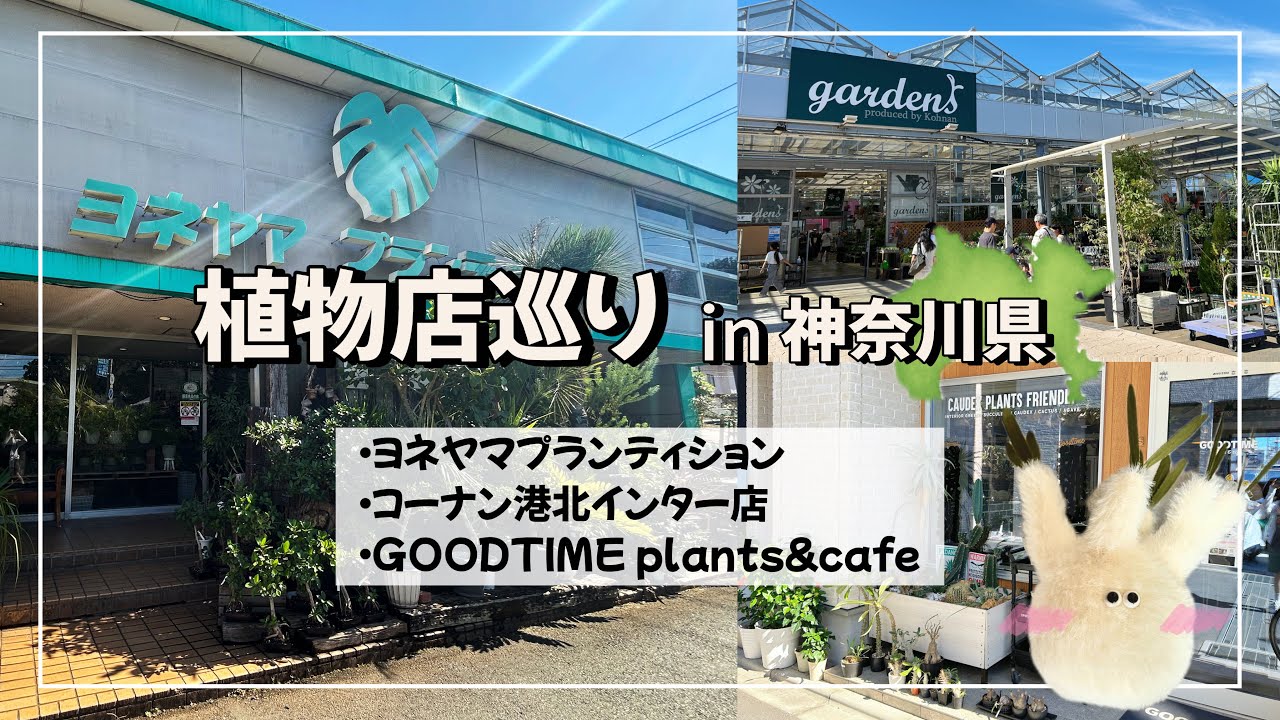 【神奈川植物店巡り】東京から自転車で突撃！有名店＆品揃え抜群ホームセンター＆笑える植物カフェ