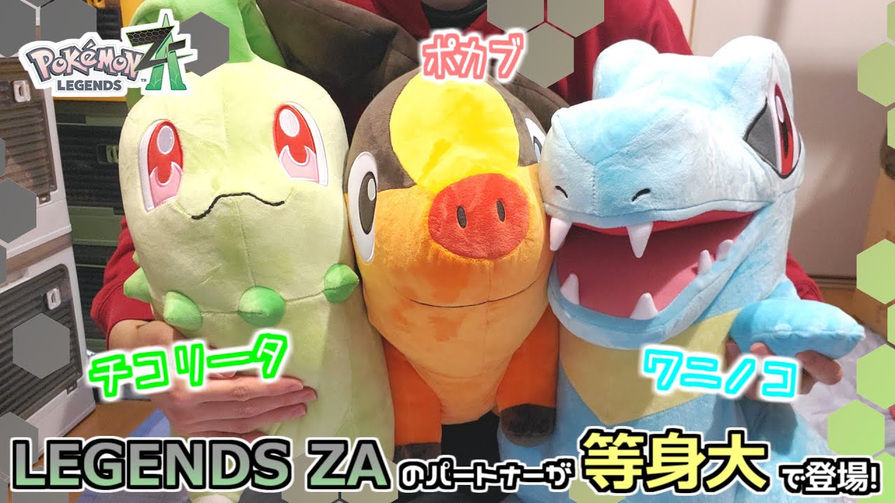 【ポケモンセンター】チコリータもポカブもワニノコも想像以上にでっかいんです！レジェンズZAのパートナーポケモン等身大ぬいぐるみになっていました！【ポケモン】