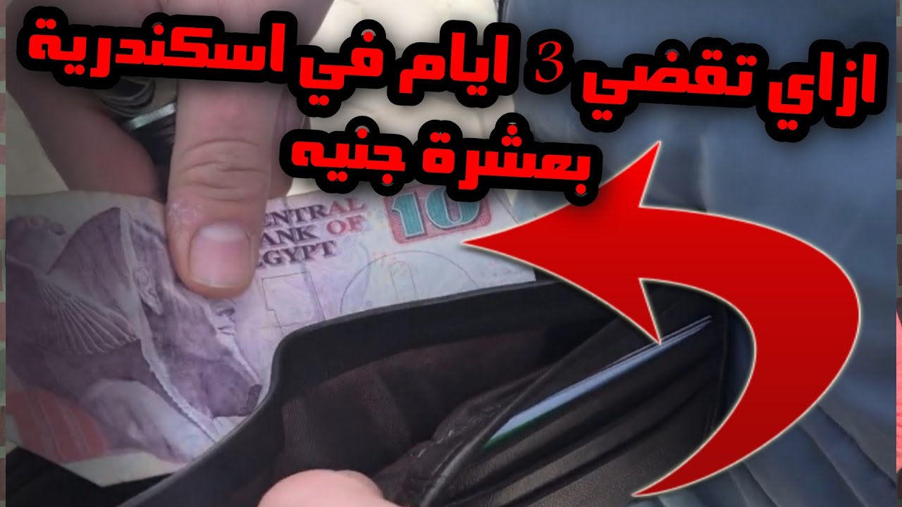 فلوج اسكندرية الجزء الاول