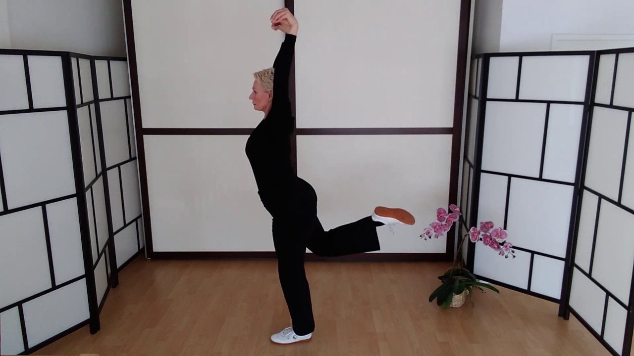 Shi Er Fa, Gabriel Mai, IHQF Health Qi Gong Gabriel International, Seitenansicht