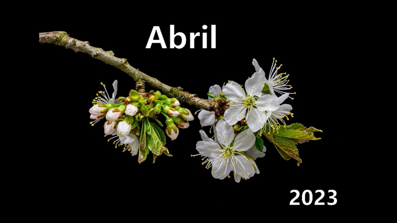 Abril 2023 - Primavera em flor