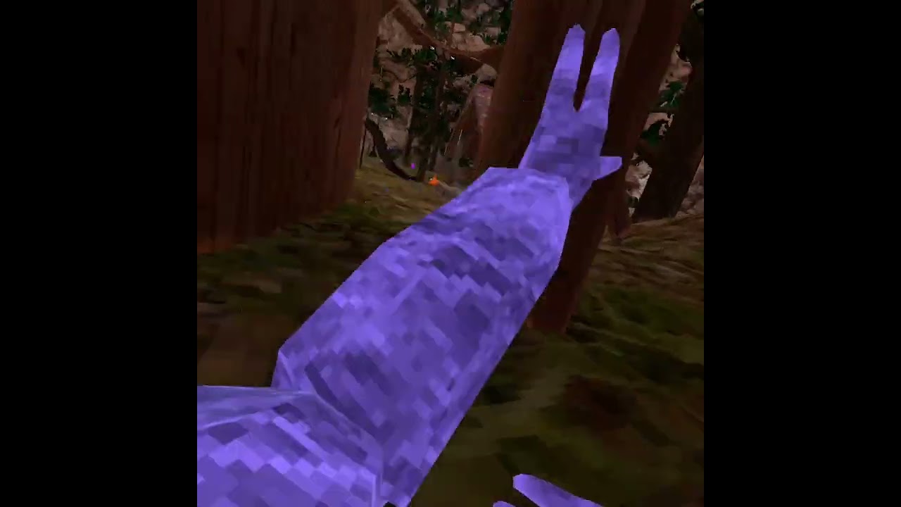 com oculus vrshell 20240825 140409