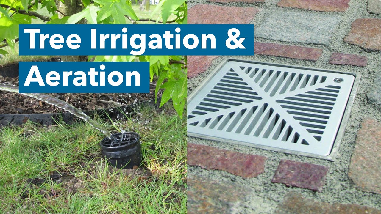 The Principles of Tree Irrigation & Aeration