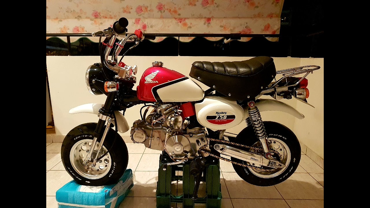 Honda monkey Z50 Best tuning 2022