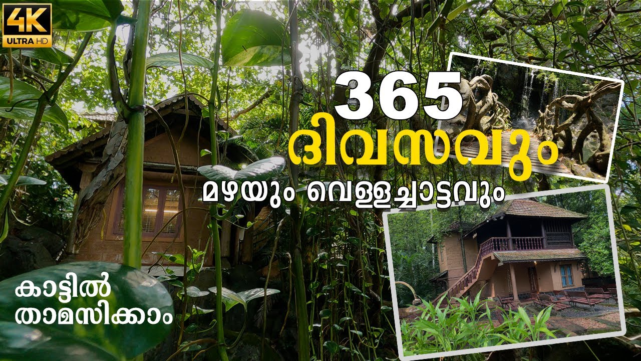 Rain Forest Ayur County Heritage  Resort | 365 ദിവസം മഴയും വെള്ളച്ചാട്ടവുമായി കിടിലനൊരു റിസോർട്ട്