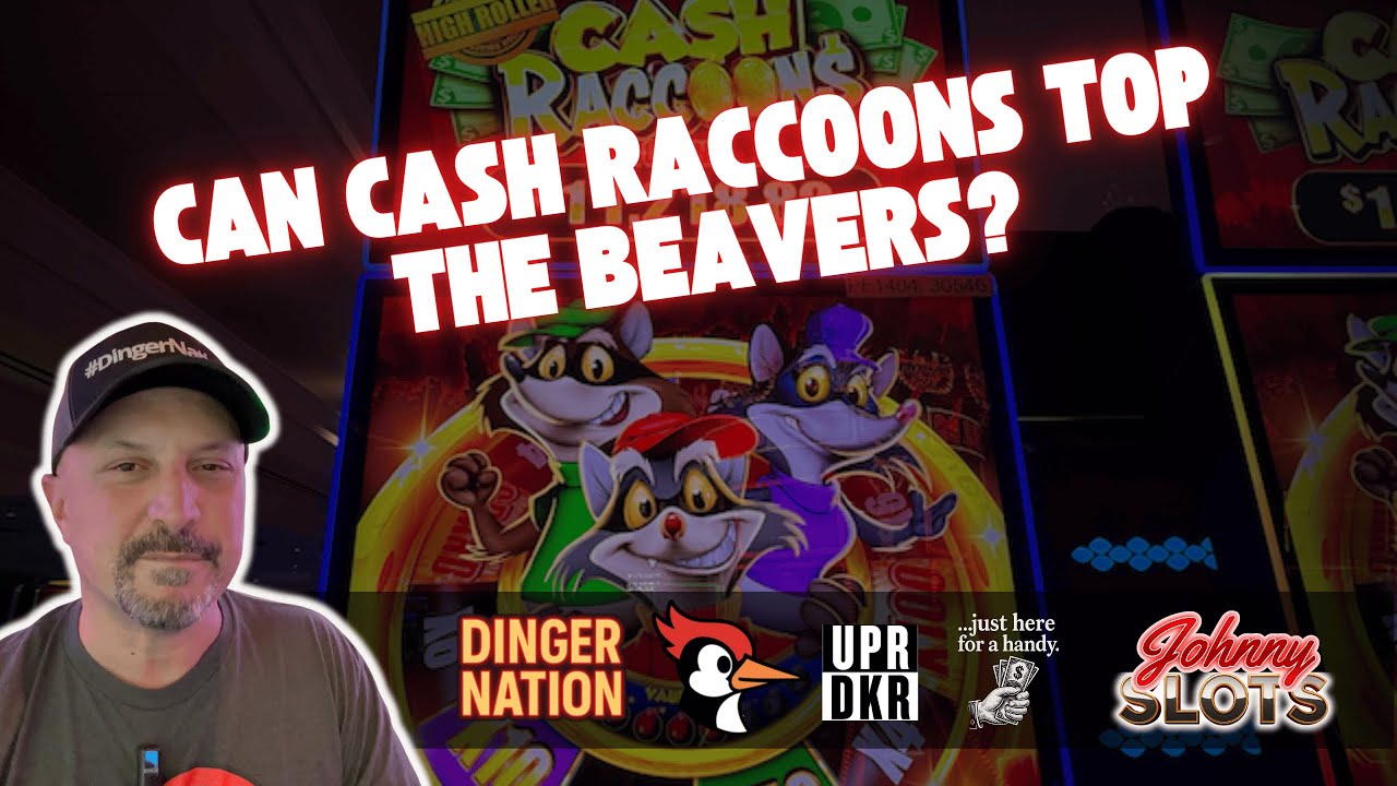 Can Cash Raccoons go FULL HAM? New game, get in here!